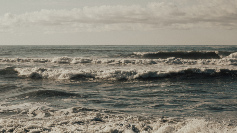 stratégie éditoriale